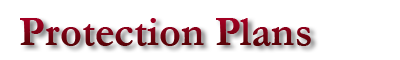 Loan Protection